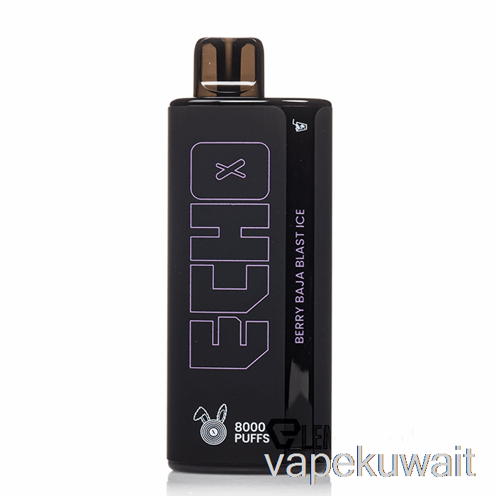 جهاز Echo 8000 Berry Baja Blast Vape Pod System القابل للتصرف